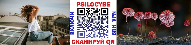 Псилоцибиновые грибы Cubensis  Курчатов 
