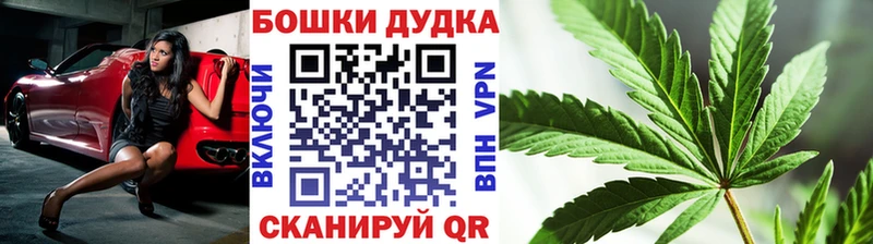 KRAKEN вход  Курчатов  Шишки марихуана AK-47 